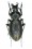Archaeocarabus oblongior